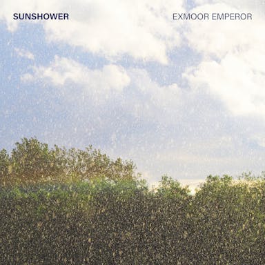 Sunshower album artwork