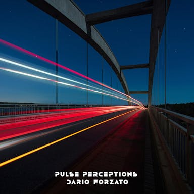 Pulse Perceptions album artwork